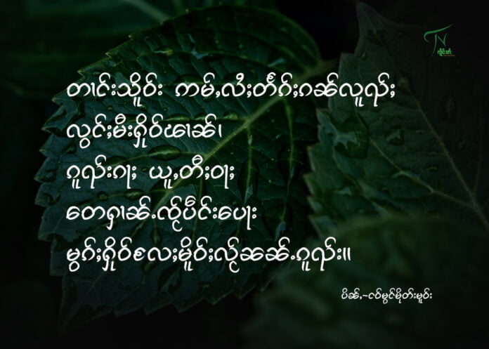 တၢင်းသိူဝ်း