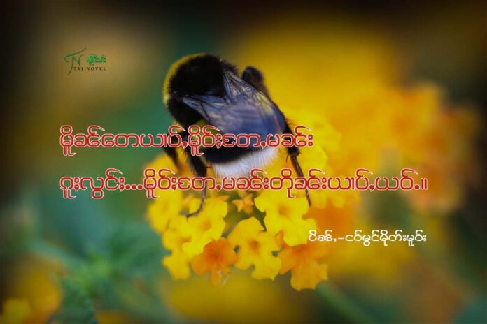 မိူဝ်ႈတႄႇ