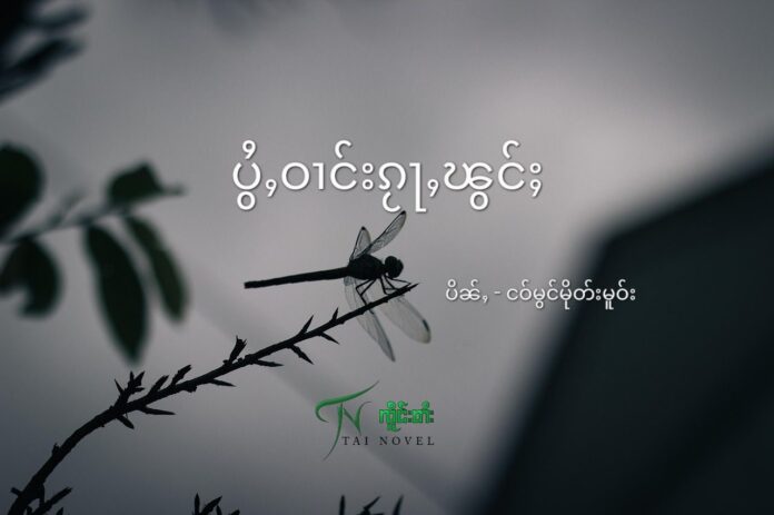 ပွႆႇဝၢင်းၵႂႃႇၽွင်ႈ