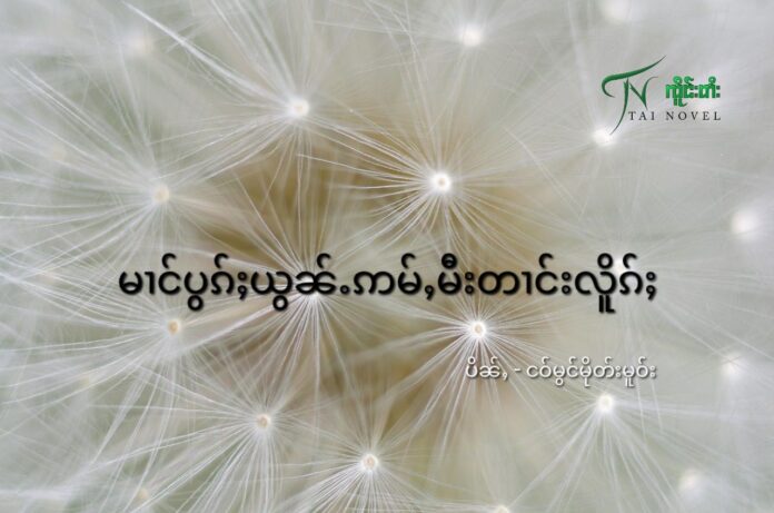 မၢင်ပွၵ်ႈယွၼ်ႉဢမ်ႇမီးတၢင်းလိူၵ်ႈ