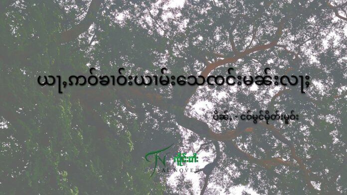 ယႃႇဢဝ်ၶၢဝ်းယၢမ်းသေၸင်းမၼ်းလႃႈ