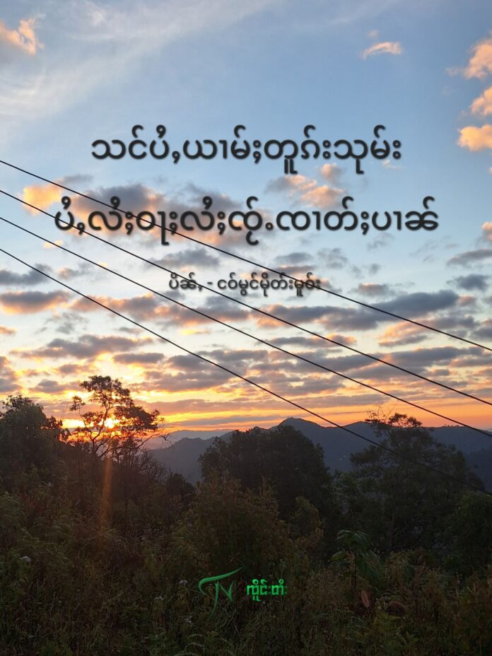 သင်ပႆႇယၢမ်ႈတူၵ်းသုမ်း ပႆႇလႆႈဝႃႈလႆႈၸႂ်ႉၸၢတ်ႈပၢၼ်