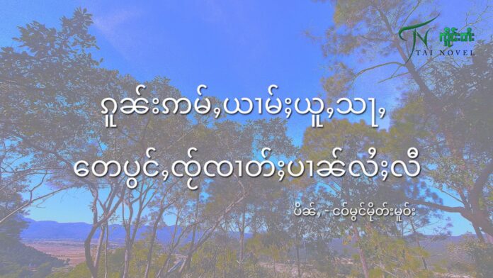 ၵူၼ်းဢမ်ႇယၢမ်ႈယူႇသႃႇ တေပွင်ႇၸႂ်ၸၢတ်ႈပၢၼ်လႆႈလီ