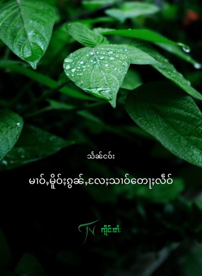 မၢဝ်ႇမိူဝ်ႈၵွၼ်ႇလႄႈသၢဝ်တေႃႈလဵဝ်