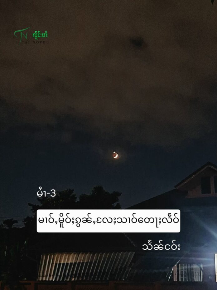 မၢဝ်ႇမိူဝ်ႈၵွၼ်ႇလႄႈသၢဝ်တေႃႈလဵဝ် မၢႆ−3